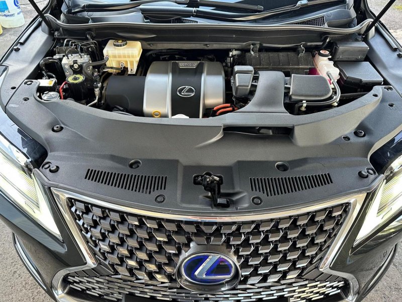 LEXUS RX